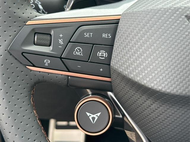 Cupra / Formentor / Grau / / / 4x4 AHK+NAVI+KAMERA+eHK+KESSY+ACC+19 ALU+LED+FULL LINK, Beispielbilder, ggf. teilweise mit Sonderausstattung