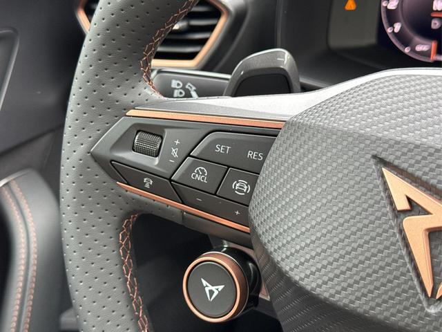 Cupra / Formentor / Blau / / / 4x4 AHK+eHK+NAVI+KAMERA+ACC+SHZ+18 ALU, Beispielbilder, ggf. teilweise mit Sonderausstattung