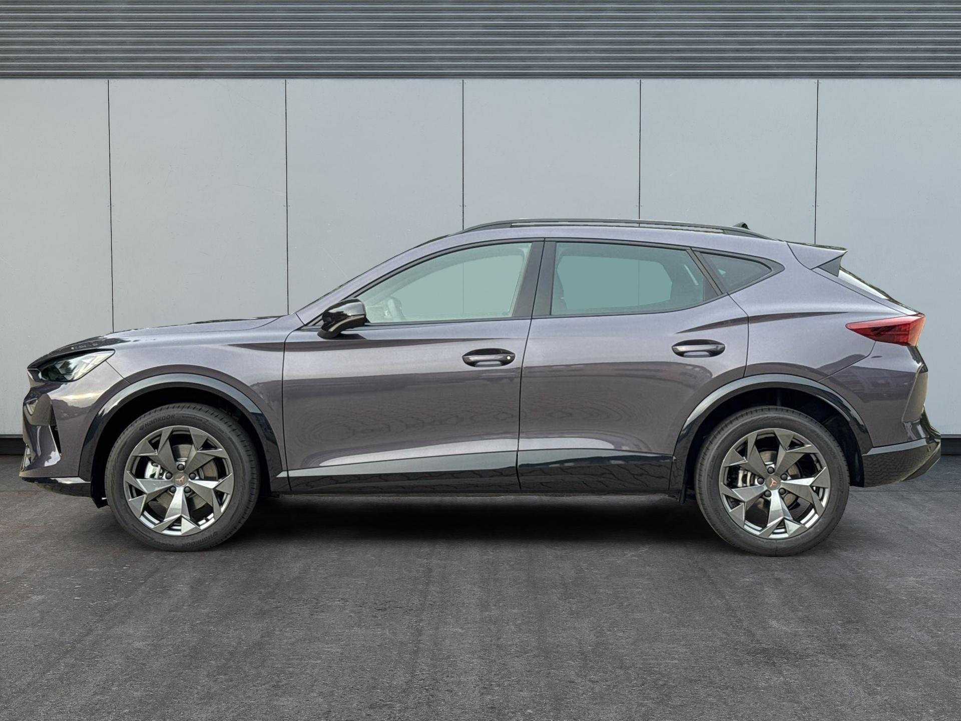 Cupra / Formentor / Violett /  /  / 4x4 AHK+eHK+NAVI+KAMERA+ACC+SHZ+18 ALU