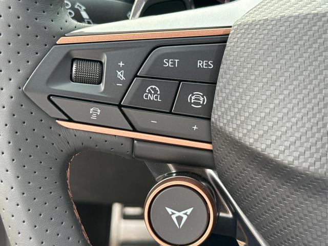 Cupra / Formentor / Violett / / / 4x4 AHK+eHK+NAVI+KAMERA+ACC+SHZ+18 ALU, Beispielbilder, ggf. teilweise mit Sonderausstattung