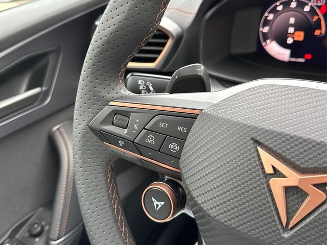 Cupra / Formentor / Grau / / / 4x4 AHK+NAVI+KAMERA+eHK+KESSY+ACC+19 ALU+LED+FULL LINK, Beispielbilder, ggf. teilweise mit Sonderausstattung