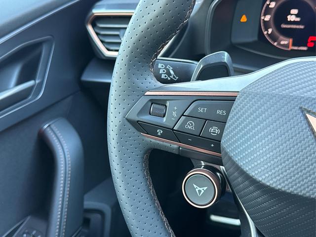 Cupra / Formentor / Schwarz / / / 4x4 AHK+eHK+NAVI+KAMERA+ACC+SHZ+18 ALU, Beispielbilder, ggf. teilweise mit Sonderausstattung