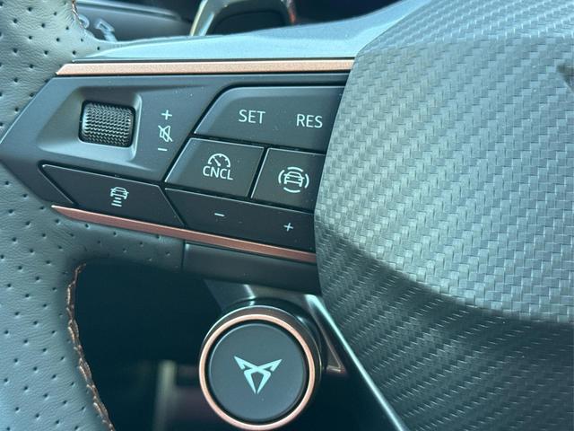 Cupra / Leon Sportstourer / Grau / / / ST AHK+NAVI+eHK+KAMERA+ACC+SHZ+18 ALU+LED, Beispielbilder, ggf. teilweise mit Sonderausstattung