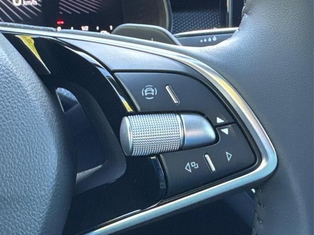 Skoda / Scala / Grau / / / Selection SHZ+KAMERA+SMARTLINK+LED+16 ALU, Beispielbilder, ggf. teilweise mit Sonderausstattung