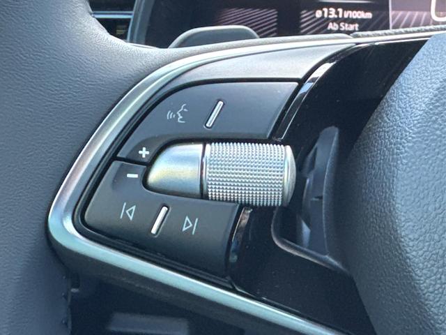 Skoda / Scala / Grau / / / Selection SHZ+KAMERA+SMARTLINK+LED+16 ALU, Beispielbilder, ggf. teilweise mit Sonderausstattung