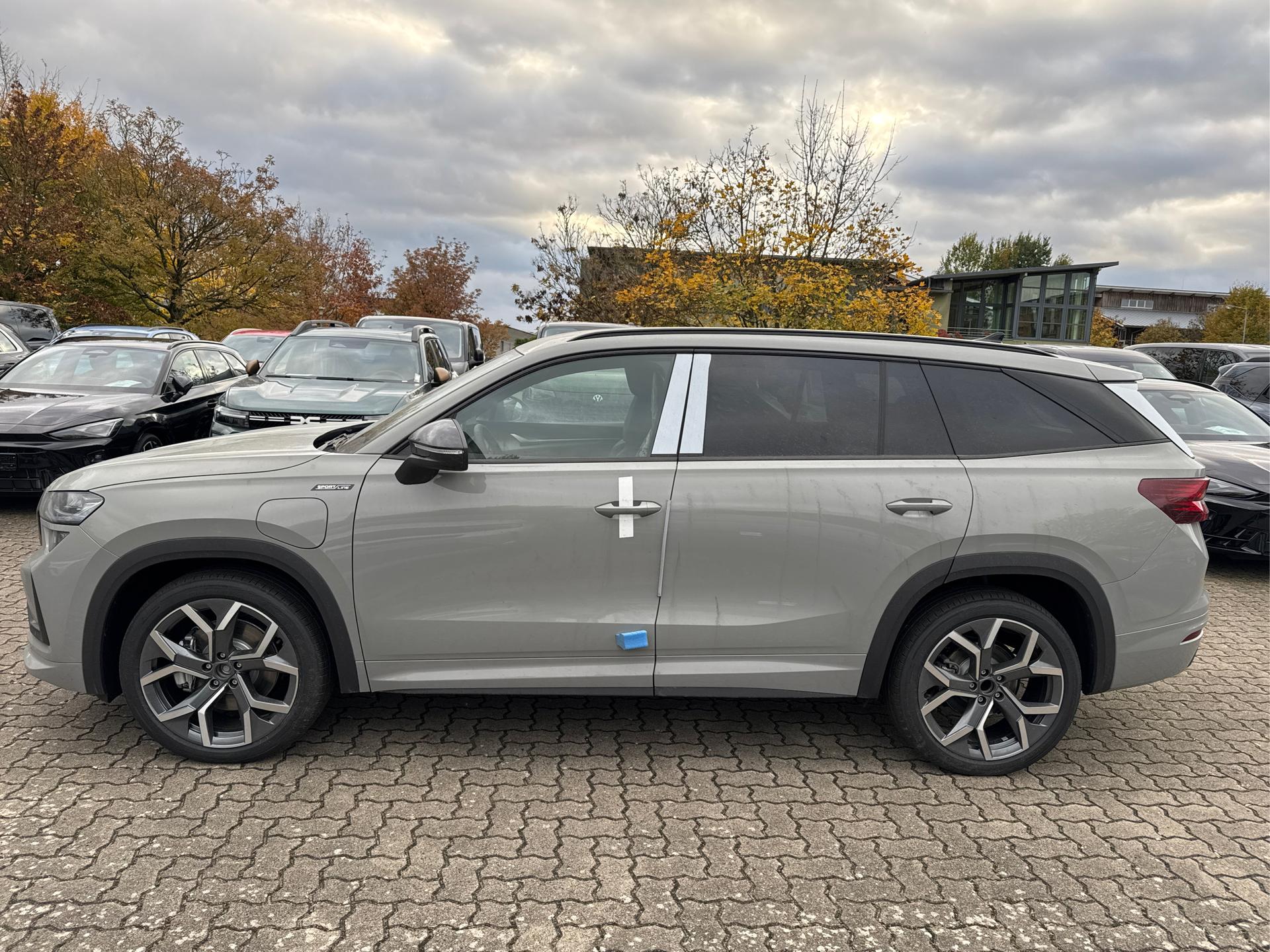 Skoda / Kodiaq / Grau /  /  / PHEV+AHK+NAVI+MATRIX-LED+KAMERA+EL. HECKKL.