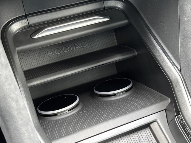 Skoda / Kodiaq / Grau / / / PHEV+AHK+NAVI+PANO+MATRIX-LED+KAMERA+EL. HECKKL., Beispielbilder, ggf. teilweise mit Sonderausstattung
