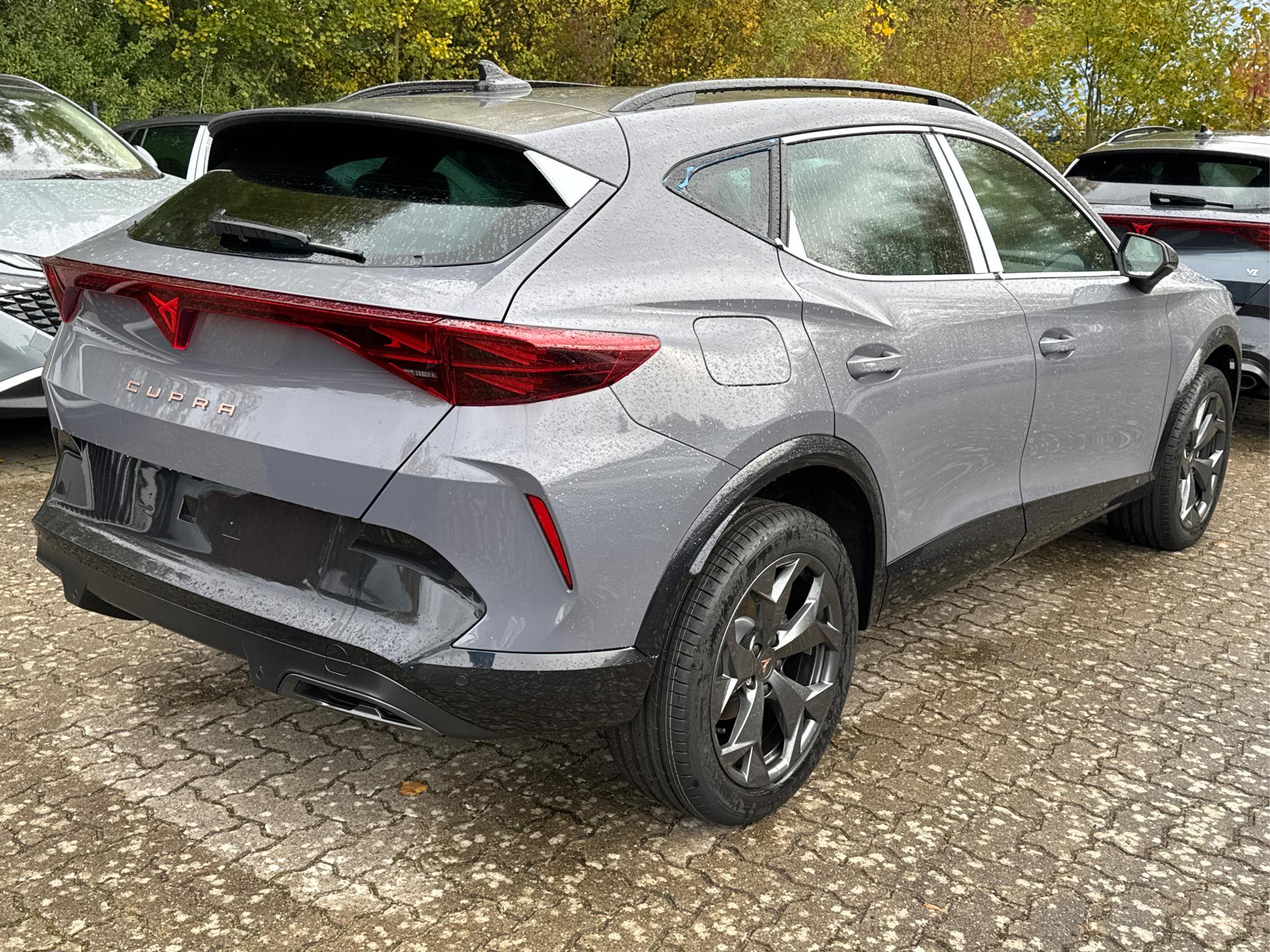 Cupra / Formentor / Grau /  /  / 4x4 AHK+eHK+NAVI+KAMERA+ACC+SHZ+18 ALU