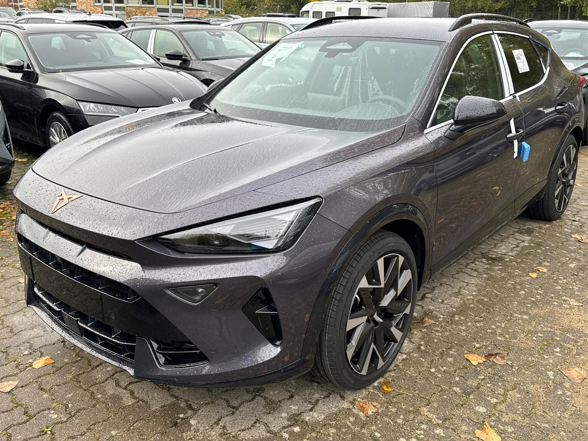 Cupra / Formentor / Violett /  /  / 4x4 AHK+NAVI+KAMERA+eHK+KESSY+ACC+19 ALU+LED+FULL LINK