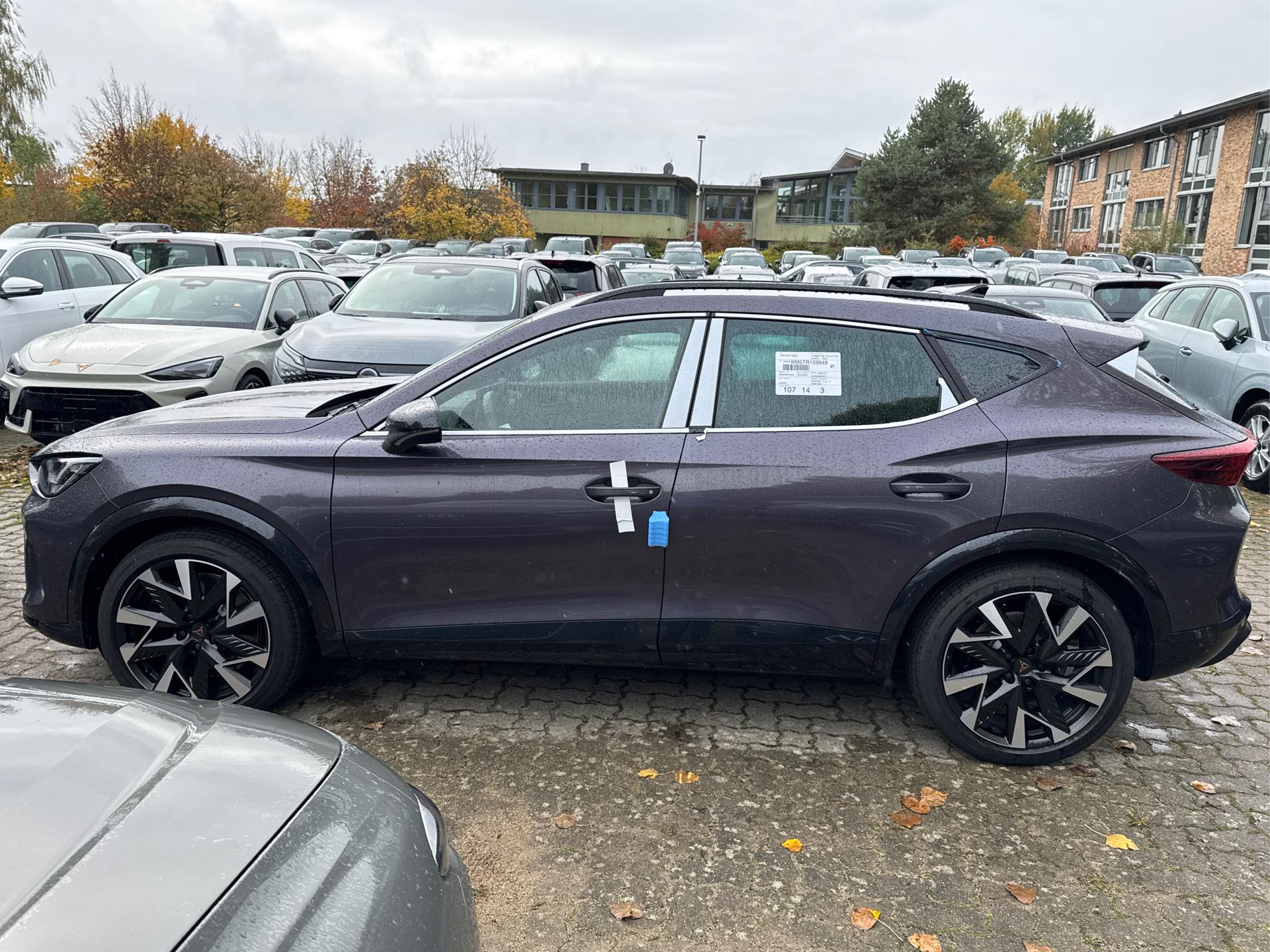 Cupra / Formentor / Violett /  /  / 4x4 AHK+NAVI+KAMERA+eHK+KESSY+ACC+19 ALU+LED+FULL LINK