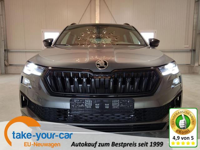 Skoda / Karoq / Grau /  /  / 
