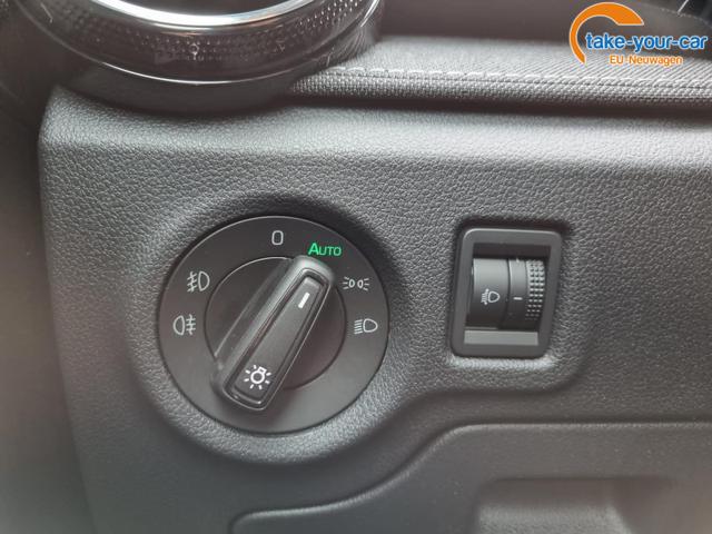 Skoda - Fabia - EU-Neuwagen - Reimport