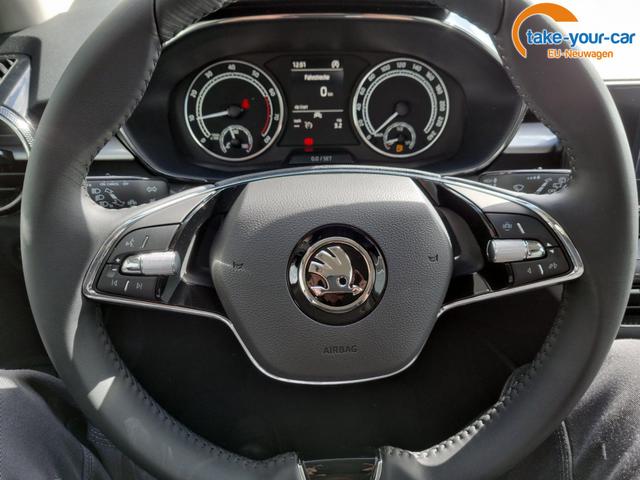 Skoda - Fabia - EU-Neuwagen - Reimport