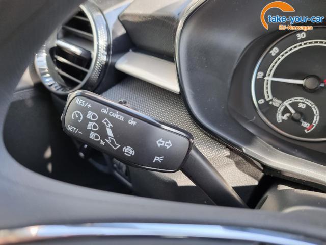 Skoda - Fabia - EU-Neuwagen - Reimport