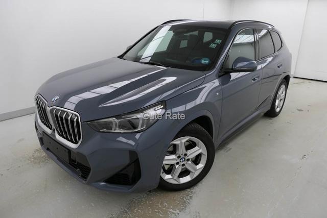 BMW X1 - xDrive23i M Sport / NP= 68.460,- Pano AHK
