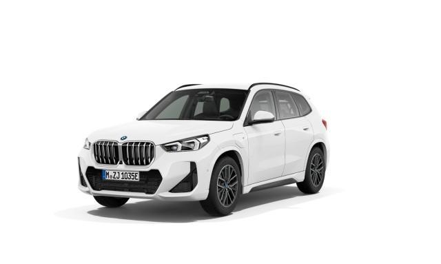 BMW X1 - xDrive30e Steptronic M Sportpaket Head-Up AHK
