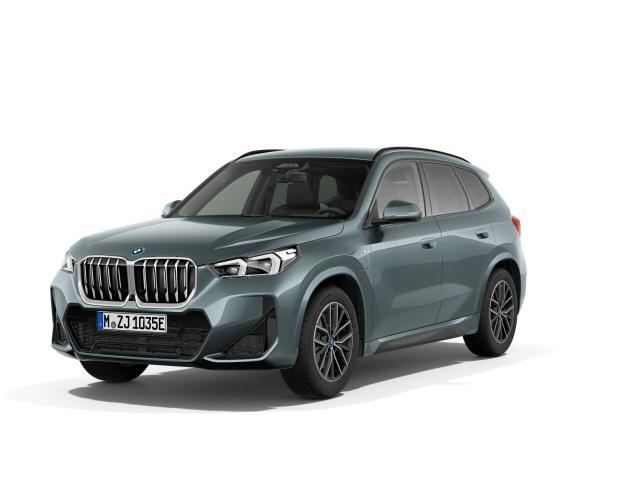 BMW X1 - xDrive30e M Sportpaket  Innovationspaket  ACC