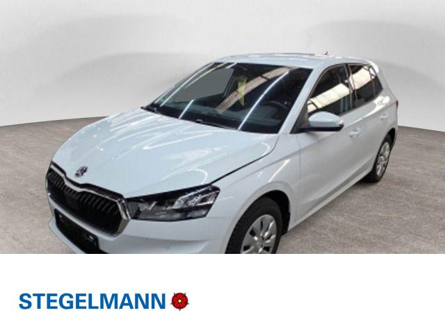 Skoda Fabia - Selection 1.0 TSI  LED Kamera Smart-Link 