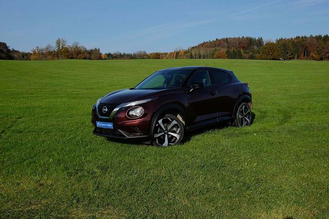 Nissan Juke 1.0 DIG-T 84 kW Exterieur in der Natur