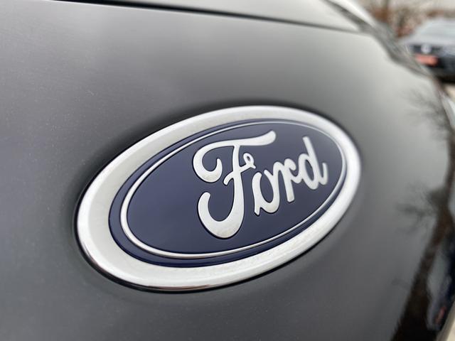 Emblem Ford Puma Titanium