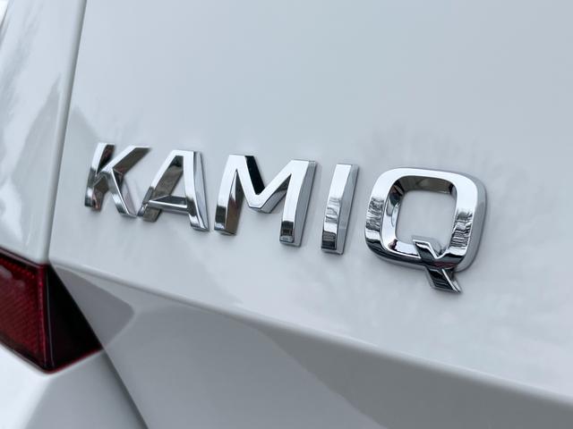 Emblem Skoda Kamiq STYLE