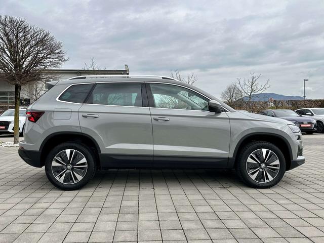 Beifahrerseite Skoda Karoq STYLE Stahl-Grau