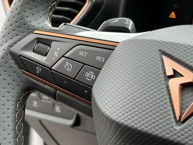 Multifunktionslenkrad Cupra Formentor 1.5 TSI 110 kW DSG