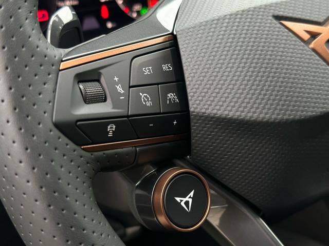 Lenkrad Tasten Cupra Formentor VZ 2.0 TSI 4Drive 310 PS DSG 