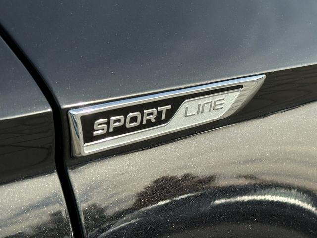Logo Skoda Karoq 2025 SPORTLINE 1.5 TSI 110 kW DSG
