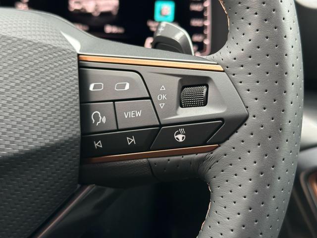 Lenkrad Cupra Formentor 1.5 TSI 150 PS DSG