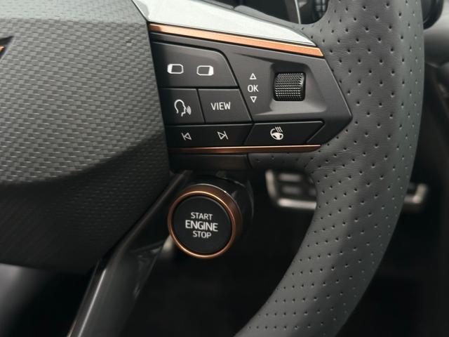 Multifunktions Sport Lenkrad Cupra Formentor VZ 2.0 TSI 4Drive 310 PS
