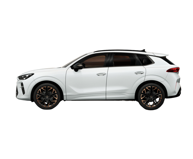 Cupra Terramar VZ 2.0 TSI 195kW DSG 4Drive