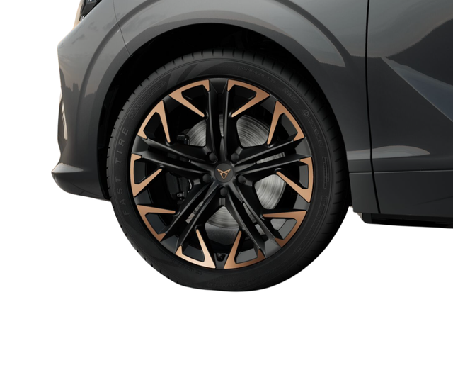 Cupra Terramar VZ 2.0 TSI 195kW DSG 4Drive