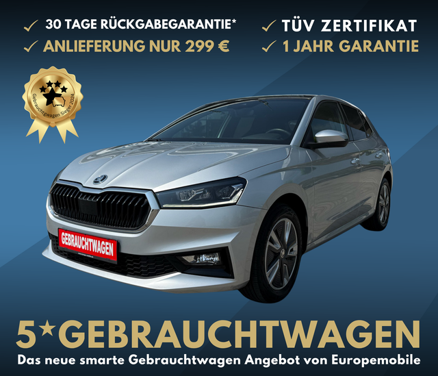 Skoda Fabia - Style (D4) 1.0 TSI 110 DYNAMIC|NAV|KAM|VIRTU|PANO|LED|16