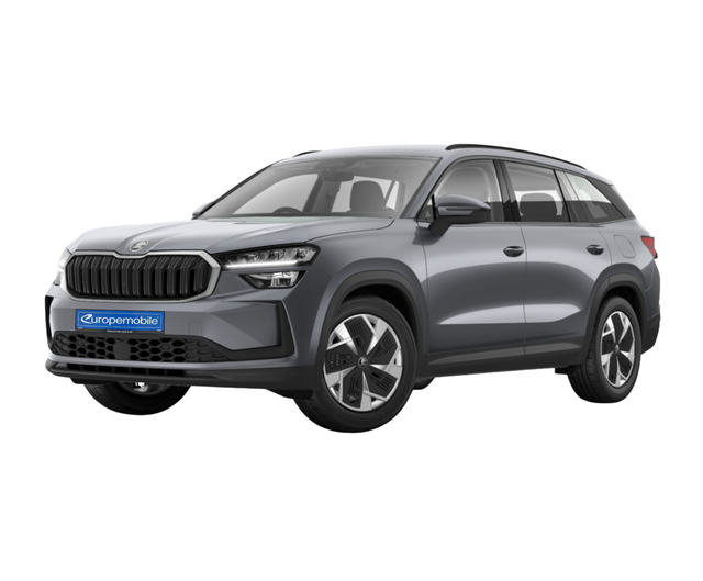 Skoda Kodiaq SELECTION 5J.GARANTIE 2.0 TDI 142 kW 4x4 DSG