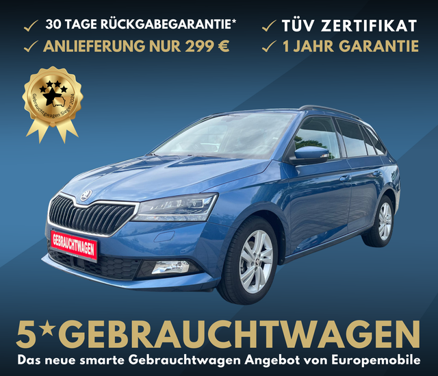 Skoda Fabia Combi - STYLE (D4) 1.0 TSI OPF 95 LED, NAVI, WINTER-P., APP-CONNECT, 5-J.-Garantie, UVM.
