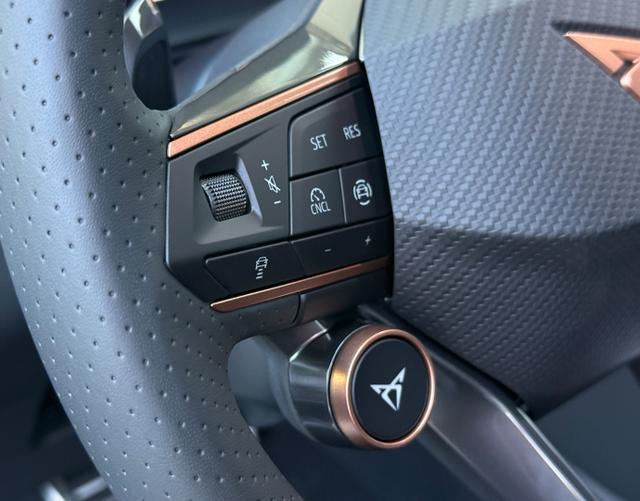 Multifunktionslenkrad Cupra Terramar 2025 VZ 2.0 TSI 195kW DSG 4Drive