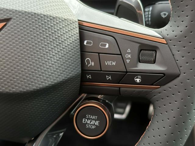 Cupra Formentor VZ 2.0 TSI 4Drive 310 PS DSG Gebrauchtwagen