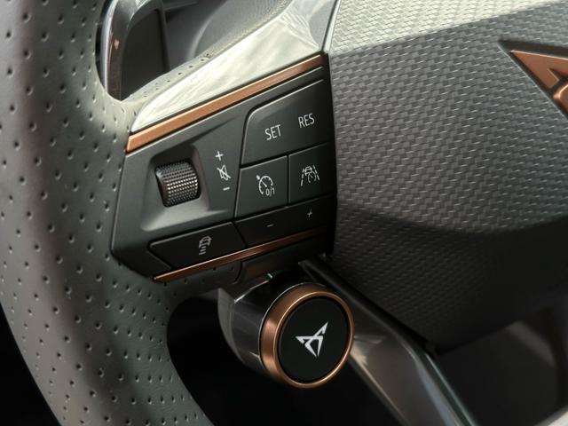 Cupra Formentor VZ 2.0 TSI 4Drive 310 PS DSG Gebrauchtwagen