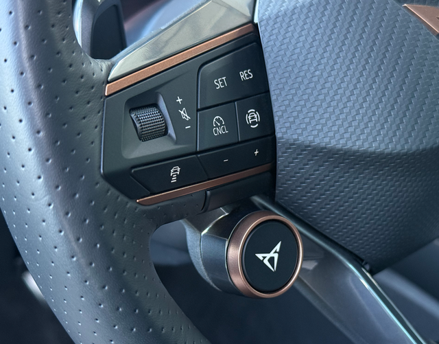 Multifunktionslenkrad Cupra Formentor VZ 2.0 TSI 333 DSG