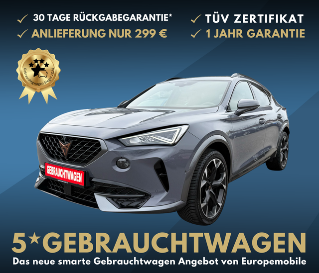 Cupra Formentor - VZ (D2) 2.0 TSI 4Drive 310 PS DSG PANO|12