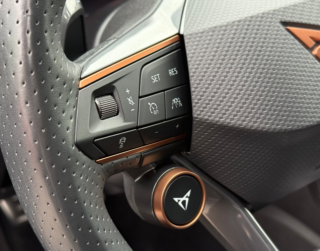 Multifunktionslenkrad Cupra Formentor VZ (D2) 2.0 TSI 4Drive 310 PS DSG