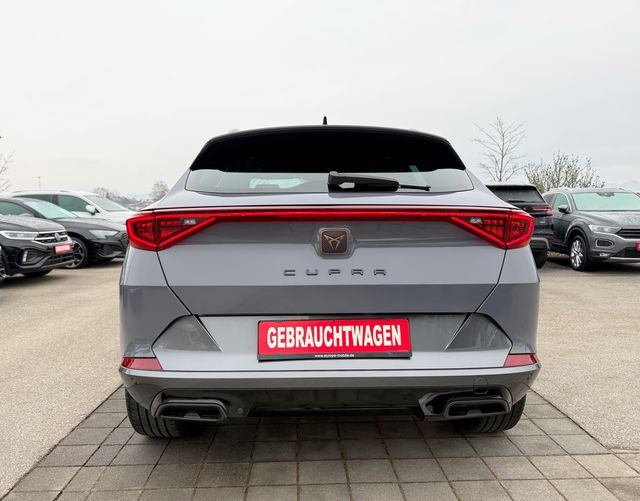 Heck Cupra Formentor 2.0 TSI 4Drive 190 PS DSG