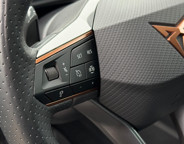 Multifunktionslenkrad Cupra Formentor 2.0 TSI 4Drive 190 PS DSG