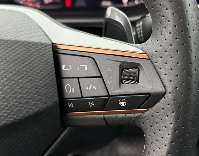 Multifunktionslenkrad Cupra Formentor 2.0 TSI 4Drive 190 PS DSG