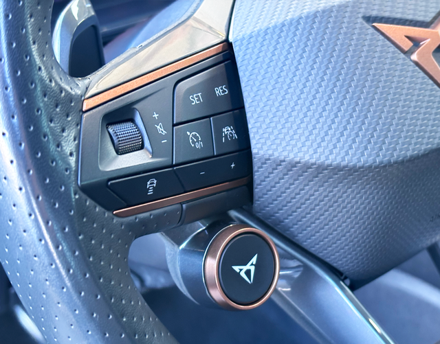 Multifunktionslenkrad Cupra Formentor VZ 2.0 TSI 4Drive 310 PS DSG