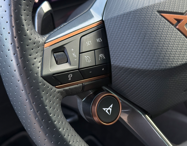 Multifunktionslenkrad Cupra Formentor VZ 2.0 TSI 4Drive 310 PS DSG