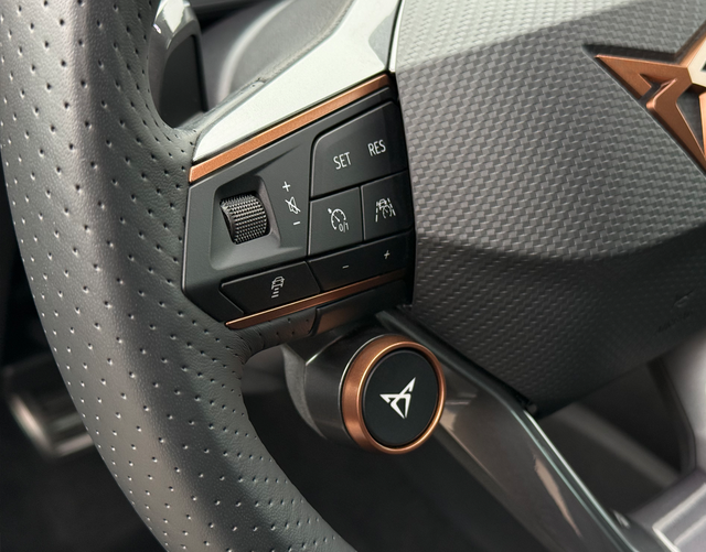 Multifunktionslenkrad Cupra Formentor VZ 2.0 TSI 4Drive 310 PS DSG