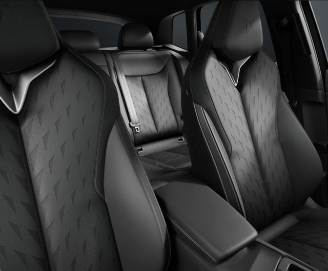 Cupra Terramar VZ 2.0 TSI 195kW DSG 4Drive