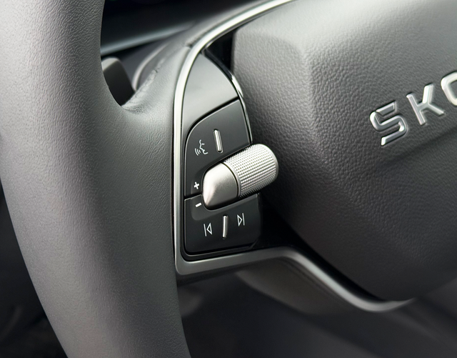 Multifunktionslenkrad Skoda Octavia Combi SELECTION 2.0 TDI DSG